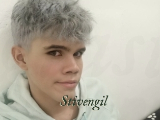 Stivengil