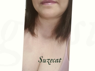 Suzecat