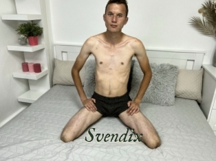 Svendix
