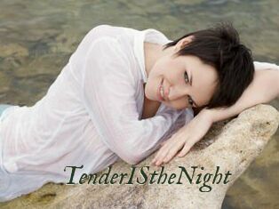 TenderIStheNight