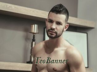 TeoBanner