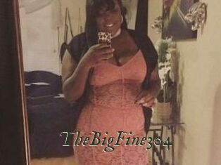 TheBigFine304