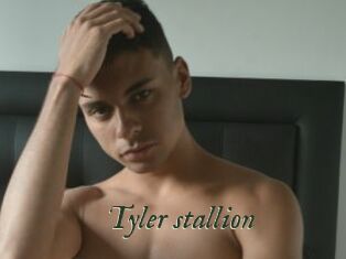 Tyler_stallion