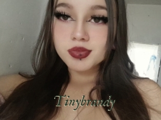 Tinybrandy