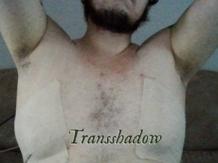 Transshadow
