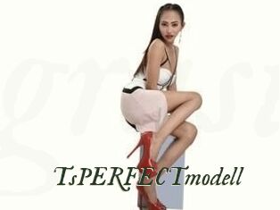 TsPERFECTmodell