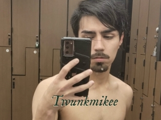 Twunkmikee