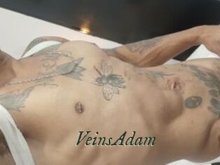 VeinsAdam