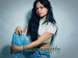 Vaalerynaugthy