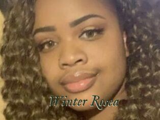Winter_Rosea