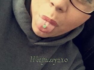 Wetpussy210