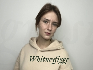 Whitneyfigge