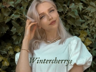 Wintercherrys